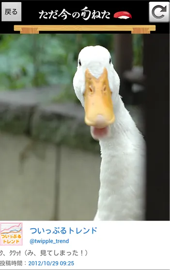 図3．画像詳細表示