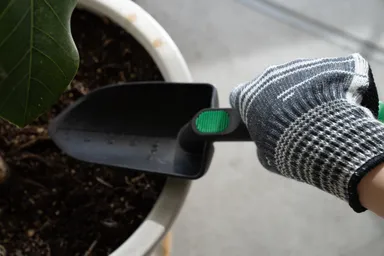 Zipangunイメージ11