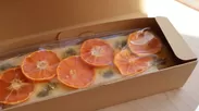 みかんチップスは旬の柑橘をトッピング