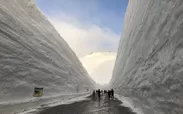 ホテルスタッフが案内する「雪の大谷」散策