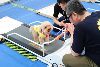 ドッグランナーでワンちゃんと運動！