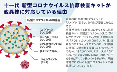 各種変異株に対応