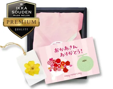 セット内容イメージ