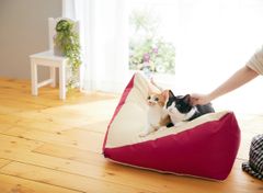 Sippoleもっちりビーズクッション―ちょうどいいうずもれ感に猫がとろける！