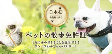 メインビジュアル