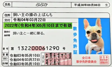 サンプル：散歩免許証