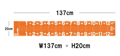 シーズ フィッシングメジャー13