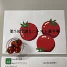 最高金賞　トマデリッシュ