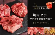 お肉の定期便4月分(一例)