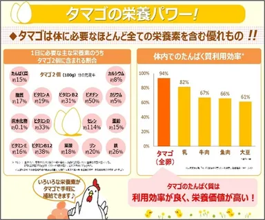 タマゴの栄養パワー！