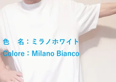 色はミラノの白