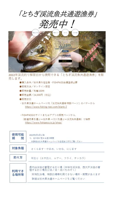 とちぎの渓流共通遊漁券チラシ(表）