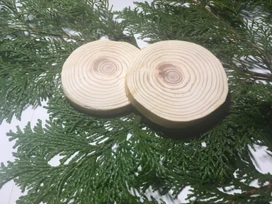 リターン一例(コースター)