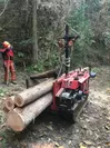 木材運搬の様子