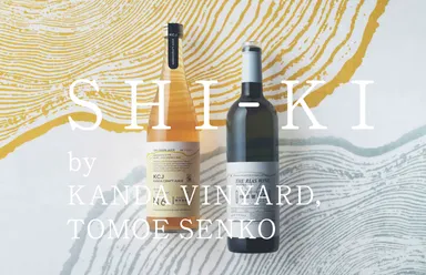 コンセプトビジュアル