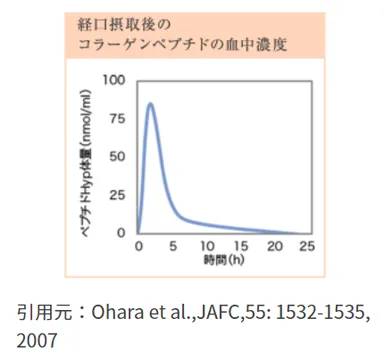 経口摂取後のコラーゲンペプチドの血中濃度