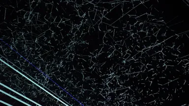 インスタレーション画像