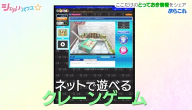 ぷらこれ説明