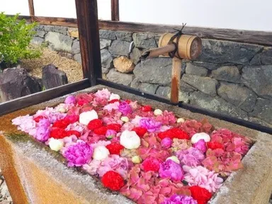 心癒す色鮮やかな「花手水」がお出迎え（イメージ）