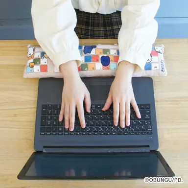 使用イメージ(2)