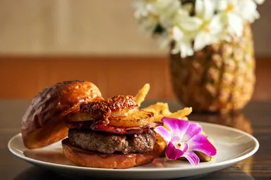 オノリシャス・ハンバーガー パイン＆スパイス