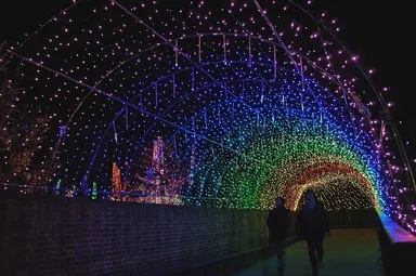 堀金・穂高地区(光のトンネル)※昨年度の様子