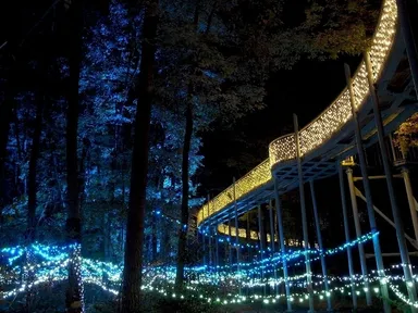 大町・松川地区(サウンドイルミ)※昨年度の様子