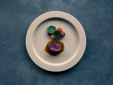 SOWER　肉料理一例(地元鹿肉)