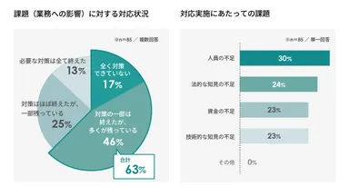 広告効果測定に関する課題(業務への影響)に対する対応状況　対応実施にあたっての課題