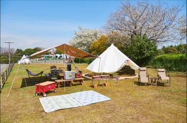 スペシャルサイト全景