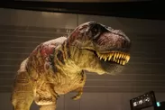 ［実物大］ティラノサウルスのロボット （ｃ）ココロ