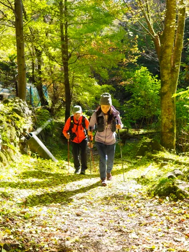 秩父鉄道フリーハイキング「秩父雄峰コース」　イメージ