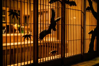 築地長屋6-7-7外観