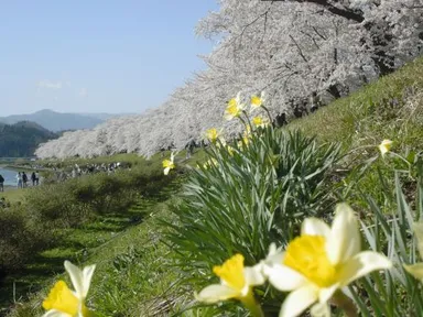ロケ地・秋田県角館