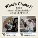 Choitoとは(1)