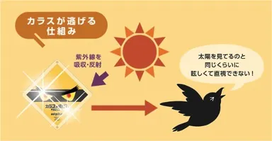 ハイパーカラスシールドの効果2