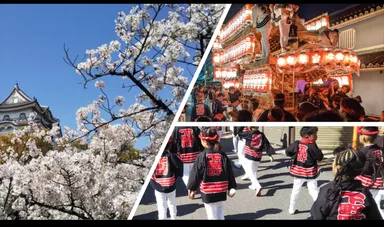 岸和田市で開設