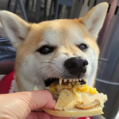 イメージ画像(3)