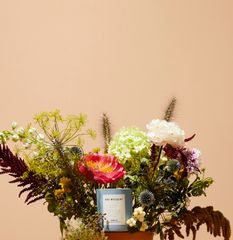 img_309662_9.jpg