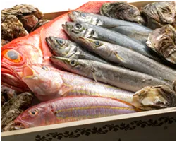 九州・静岡・茨城から 直送される新鮮魚介類
