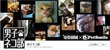 ネコ男子カバーキャプチャ