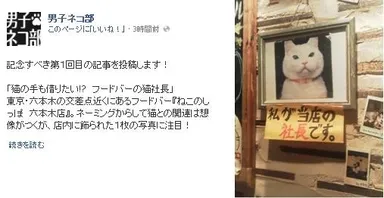 ネココラムキャプチャ