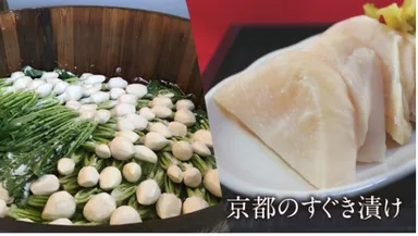 京都伝統のお漬物「すぐき」から生まれたヨーグルト
