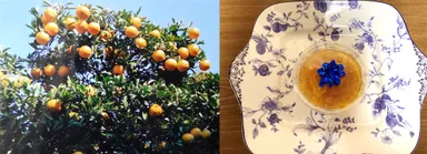 庭の夏みかんの樹(左)になった夏みかんでつくったマーマレード(右)