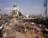 日本では阪神・淡路大震災で九死に一生を得る(家全壊)