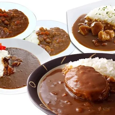 九州からの贈り物／こだわりのご当地 レトルトカレー バラエティセット