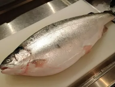 ふくいサーモン