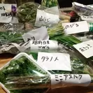 福井直送野菜