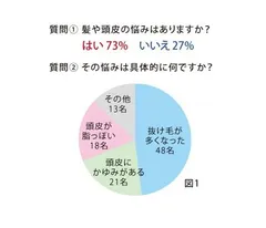 図1