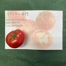 ミディアム部門最高金賞：越冬トマト